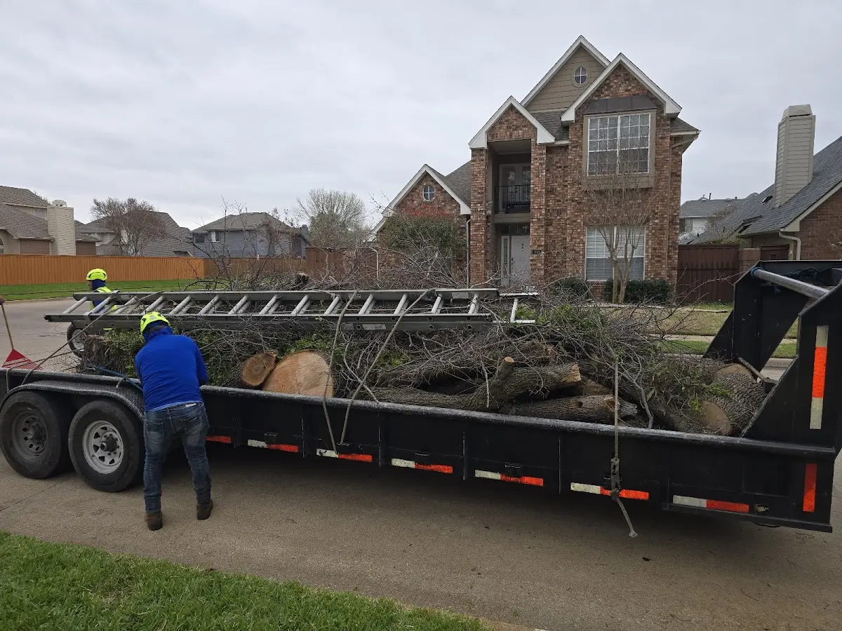 Expert Tree Removal with proper safety equipment in Redby